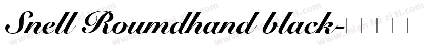 Snell Roumdhand black字体转换
